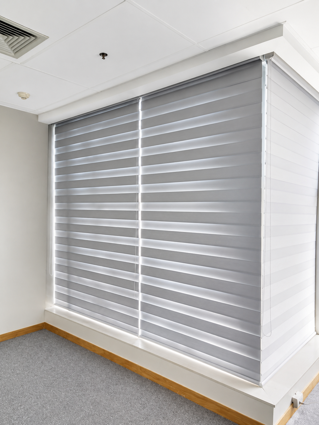 Window Blinds